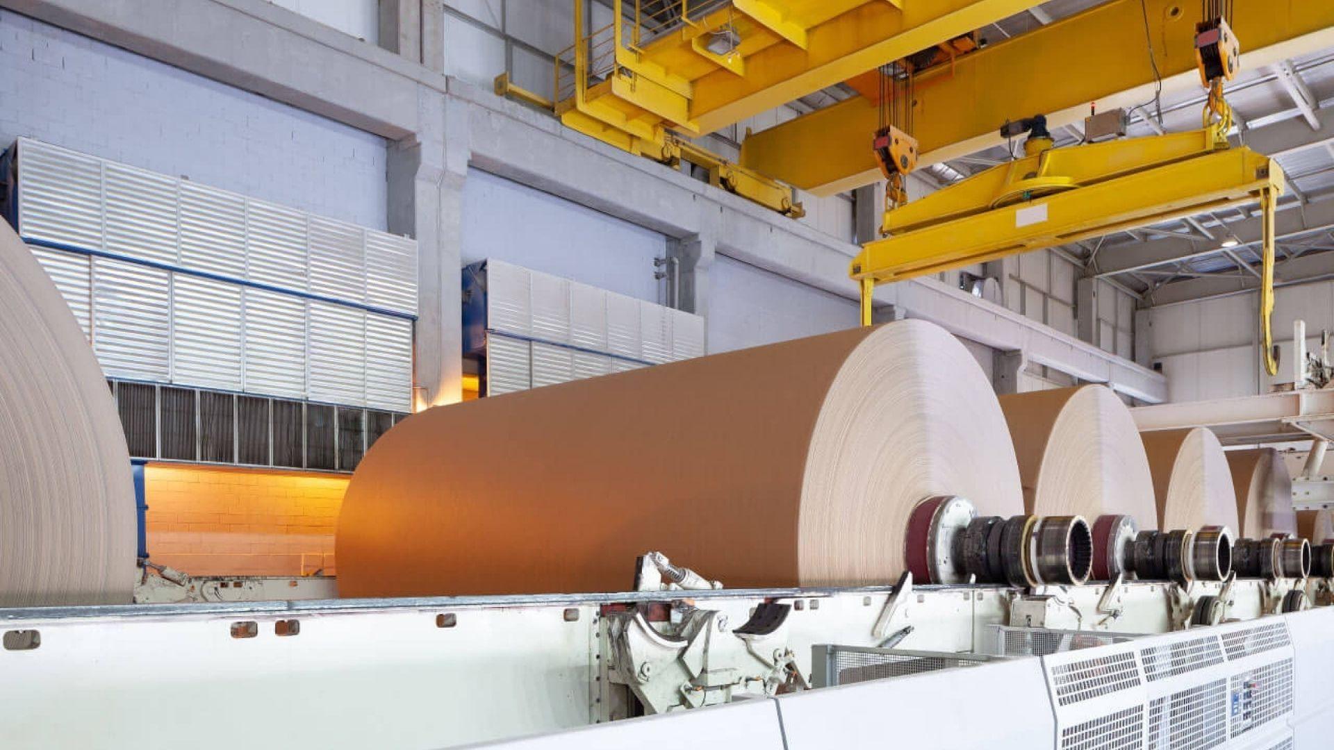 Lipy Group - About Us